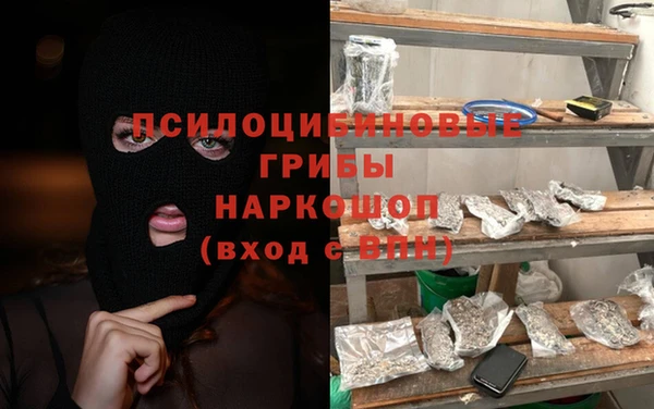 дурь Алзамай