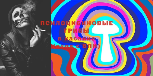 гидра Алексин