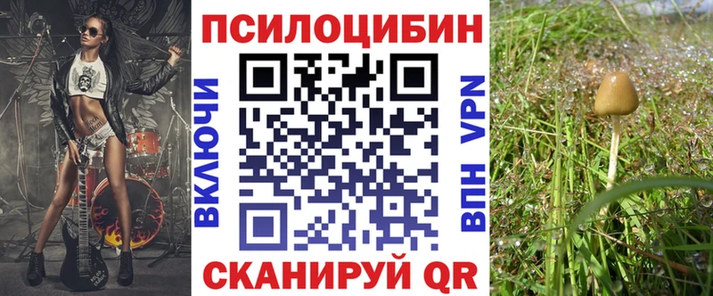 omg онион  Ясный  Псилоцибиновые грибы Magic Shrooms 